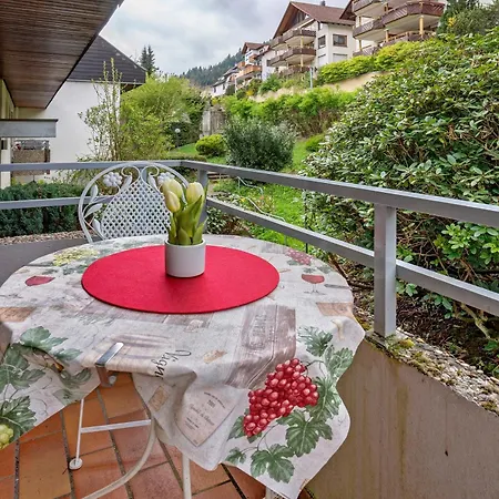 Apartment Talblick Mit Schwimmbad Bad Wildbad